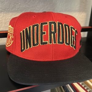 NWOT- DGK Underdogs baseball cap